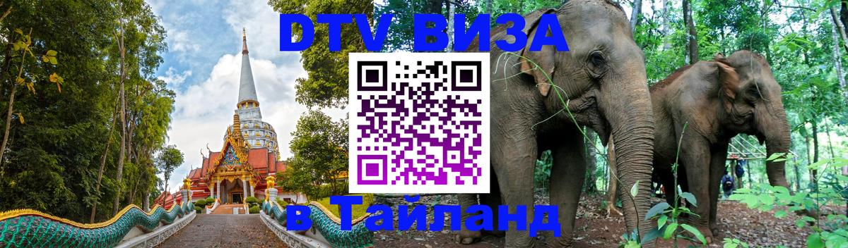 Оформление DTV визы под ключ: стоимость и тарифы, только загранпаспорт - Мытищи  08.01.2026 